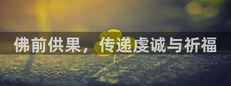 球友会网站多少