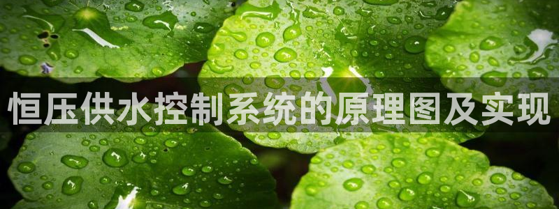 球友会提现不到账