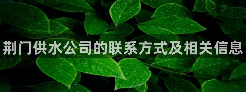 球友会台球俱乐部官网