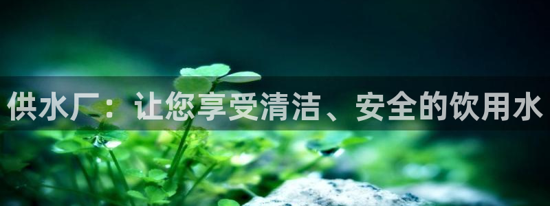 球友会曼联赛事