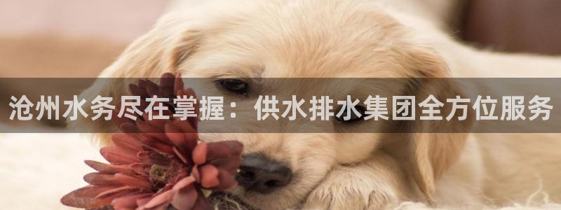 球友会聚餐发言怎么说