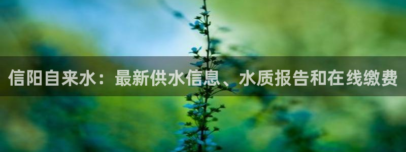 qy球友会体育(中国)官方网站