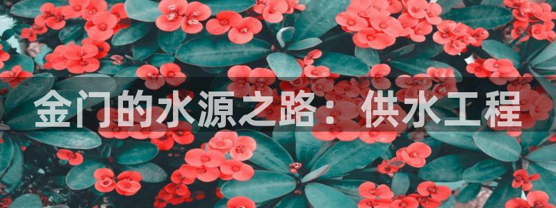 球友会qy怎么进不去