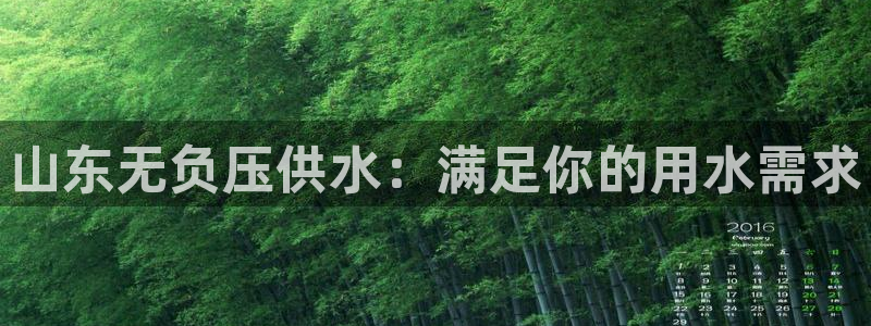 球友会友谊赛赛程