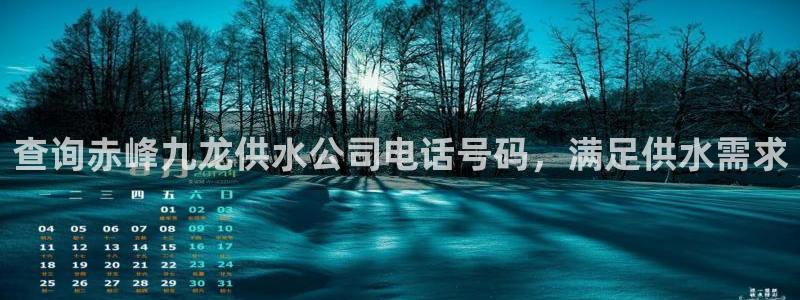 球友会联赛