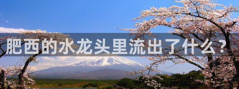 球友会能提现吗