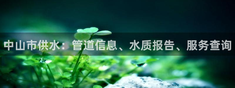 球友会破解码