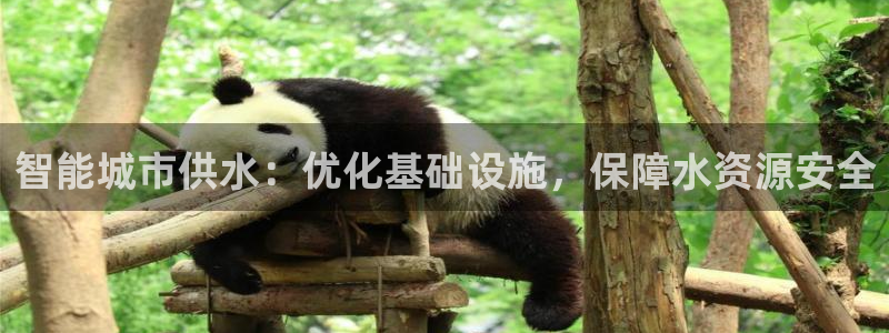 关键词