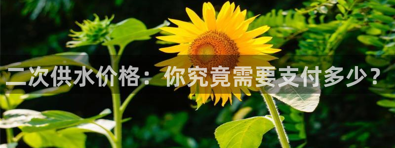 球友会app官方网站下载