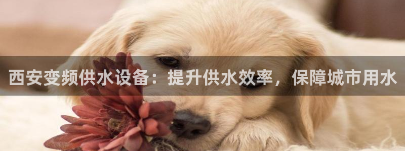 球友会提款不到账