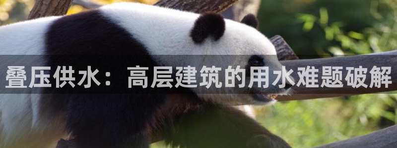 QY球友会体育官方平台