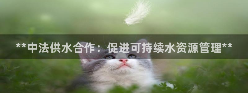 球友会app介绍