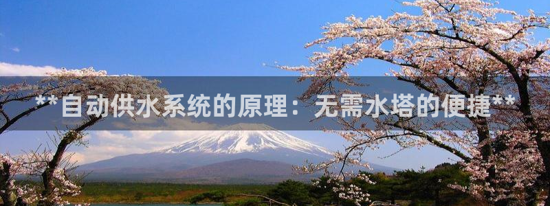 球友会提款审核