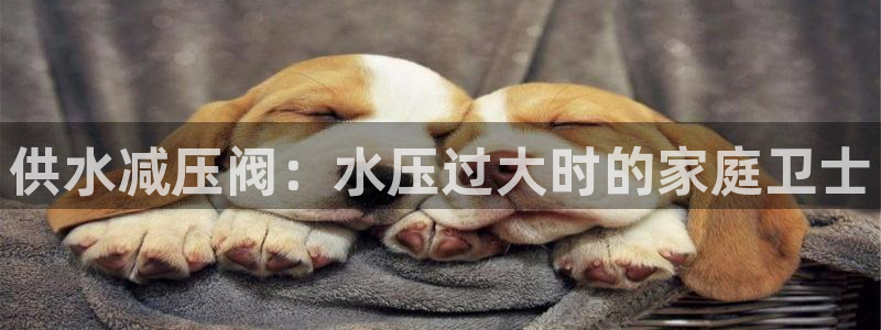 球友会app官网下载安装