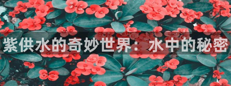 球友会官方网站