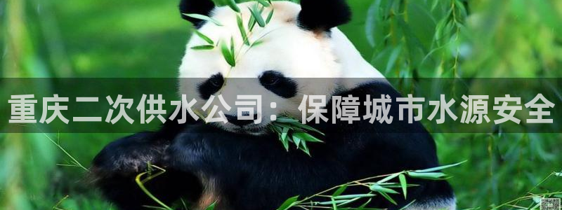 球友会体育app官方版下载安装