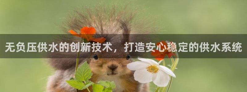 球友会下载安装