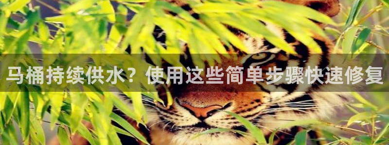 球友会下载