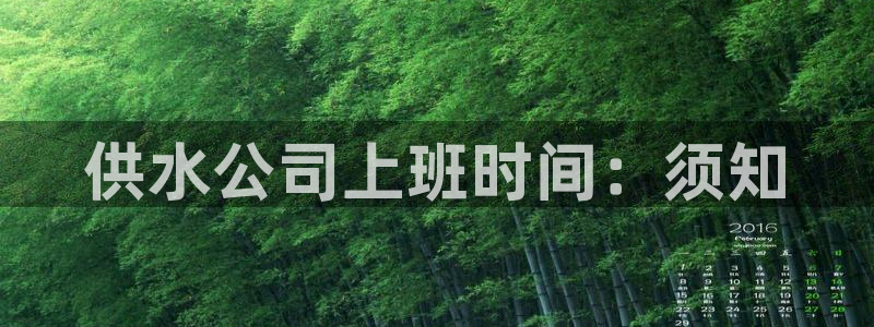球友会比赛结果查询系统