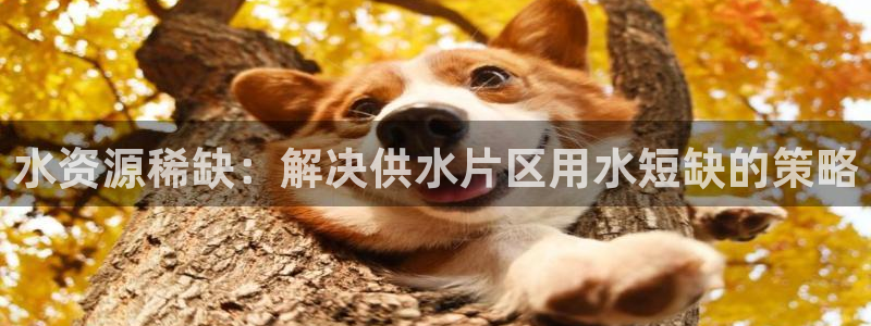 球友会体育app下载安卓