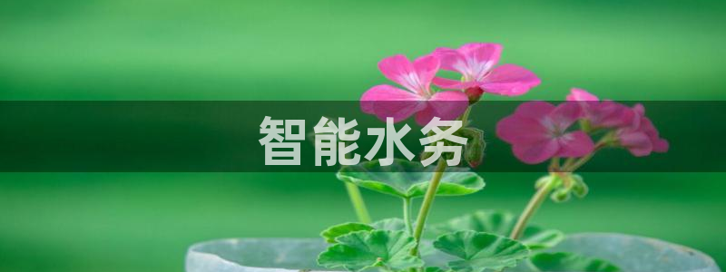 球友会app官网下载安装