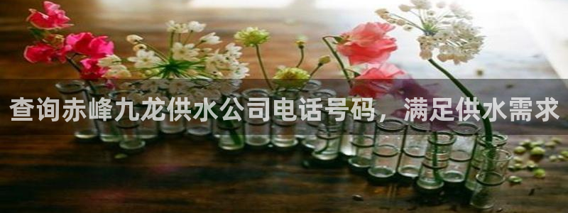 球友会比赛结果查询网站