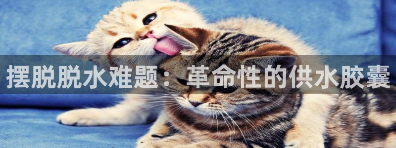 球友会QY