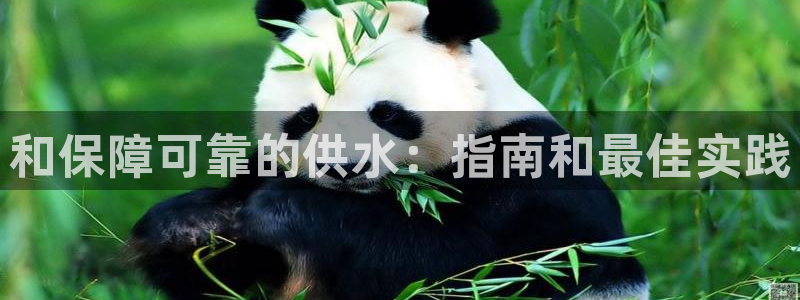 qy球友会体育