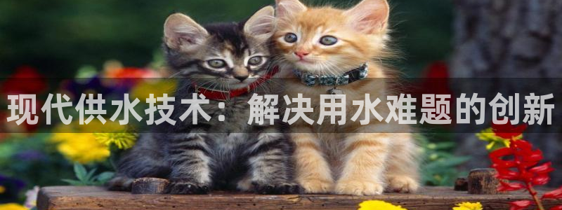 球友会官方网站下载