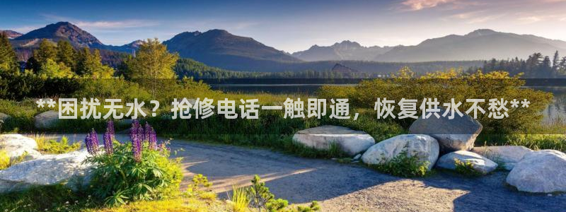 QY球友会官网