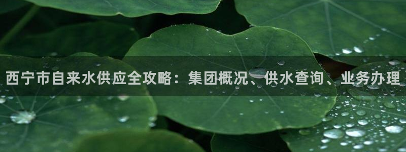球友会官网入口