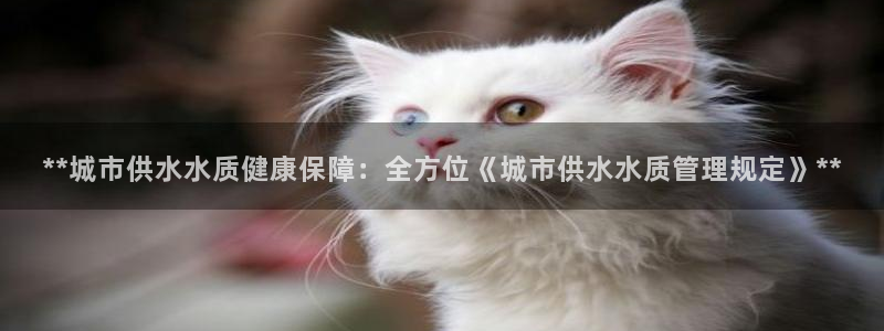 球友会是什么