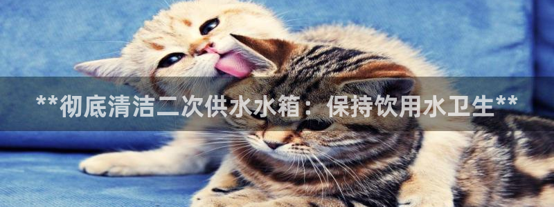 球友会体育app官方版下载安装手机