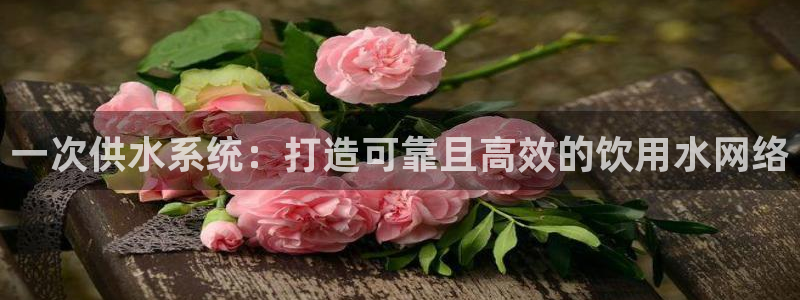 球友会友谊赛赛程
