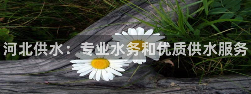 球友会体育
