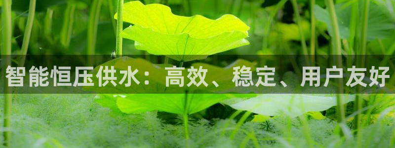 球友会提现游戏平台抽查