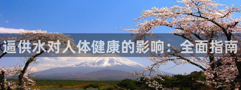 球友会官网入口在哪里