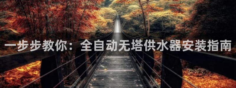 QY球友会体育官方平台
