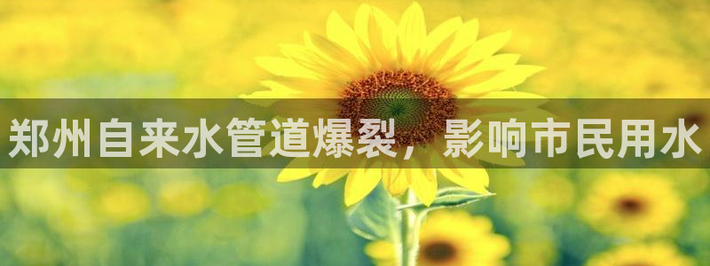 球友会官网入口在哪里