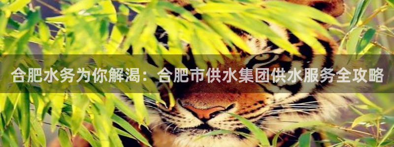 QY球友会体育官网