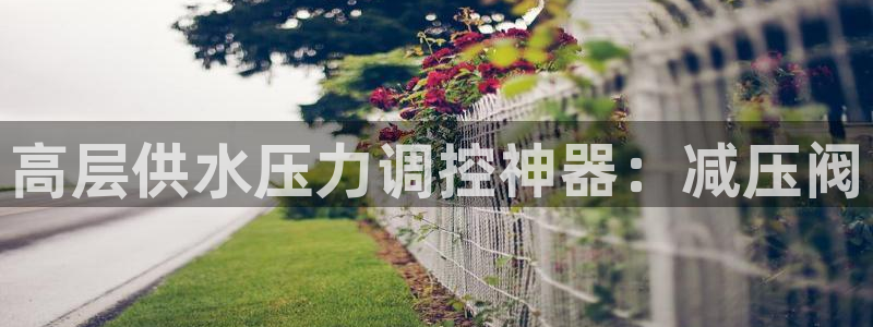 球友会体育app官方版下载安装苹果手机