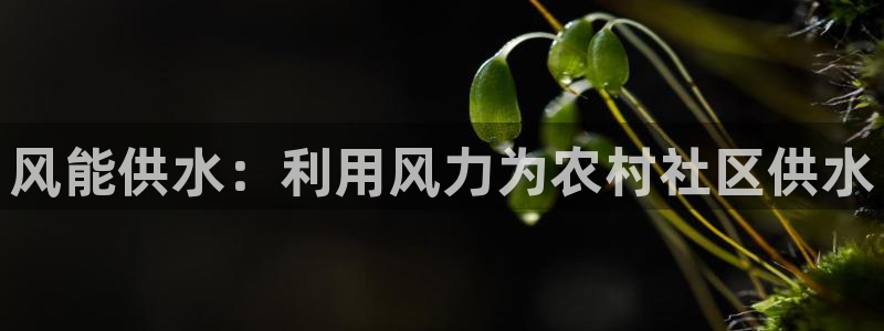 球友会台球俱乐部在哪