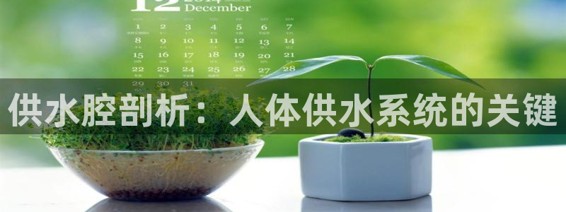 球友会比赛结果查询网站