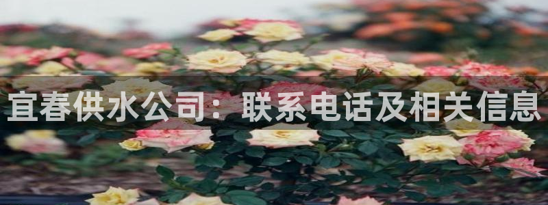 球友会官网登录入口在哪