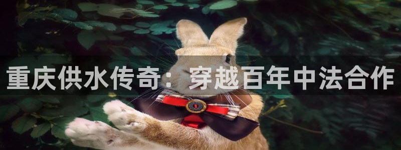 球友会登陆