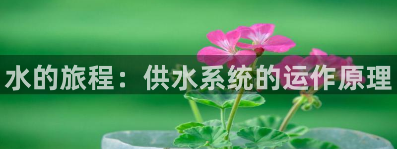 球友会能提现吗