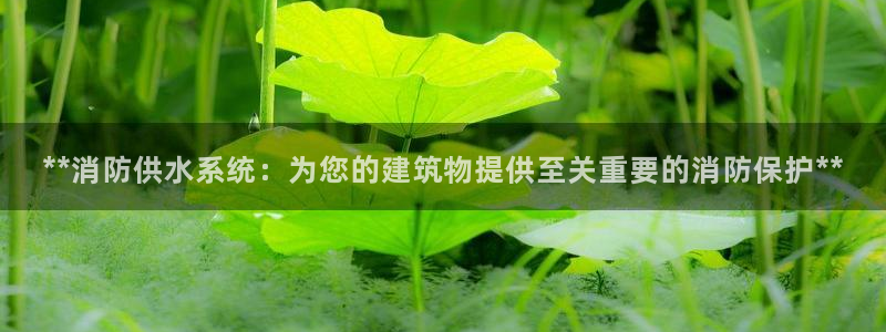 球友会软件