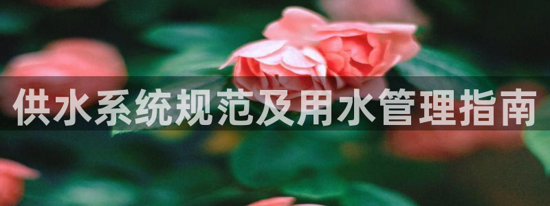 球友会友谊赛赛程赛果