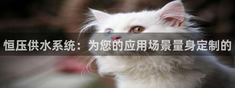 球友会app下载QY