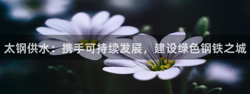 球友会app官网下载